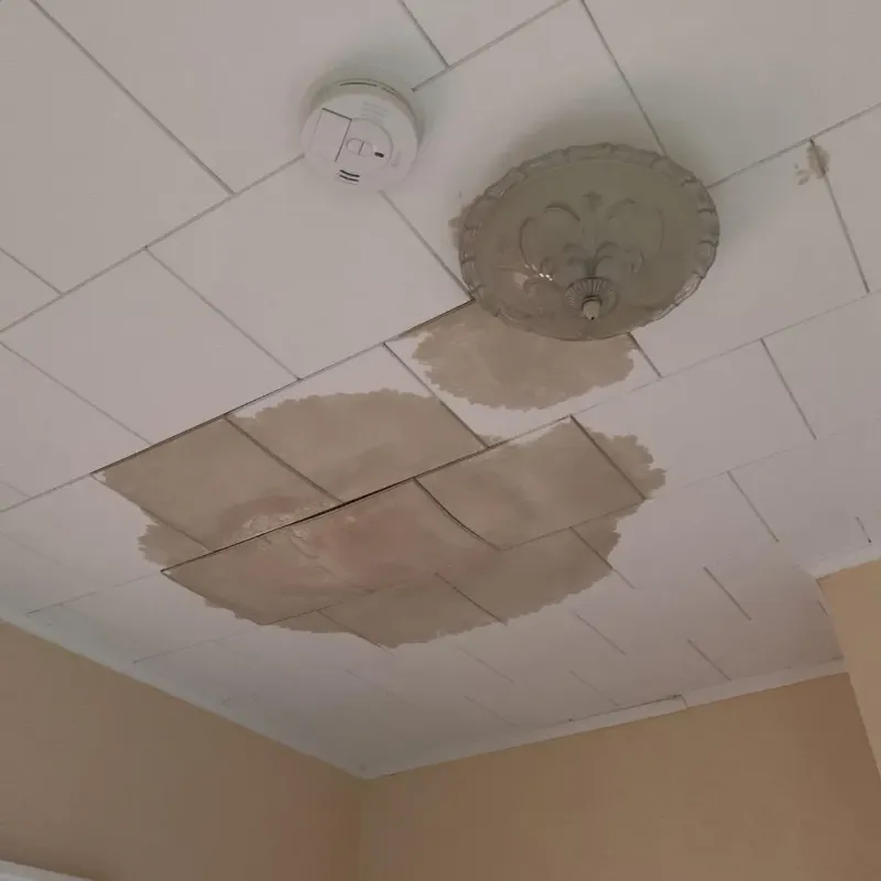 Ceiling Water Damage Repair in Refugio, TX